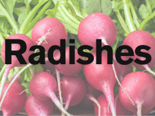 Radishes