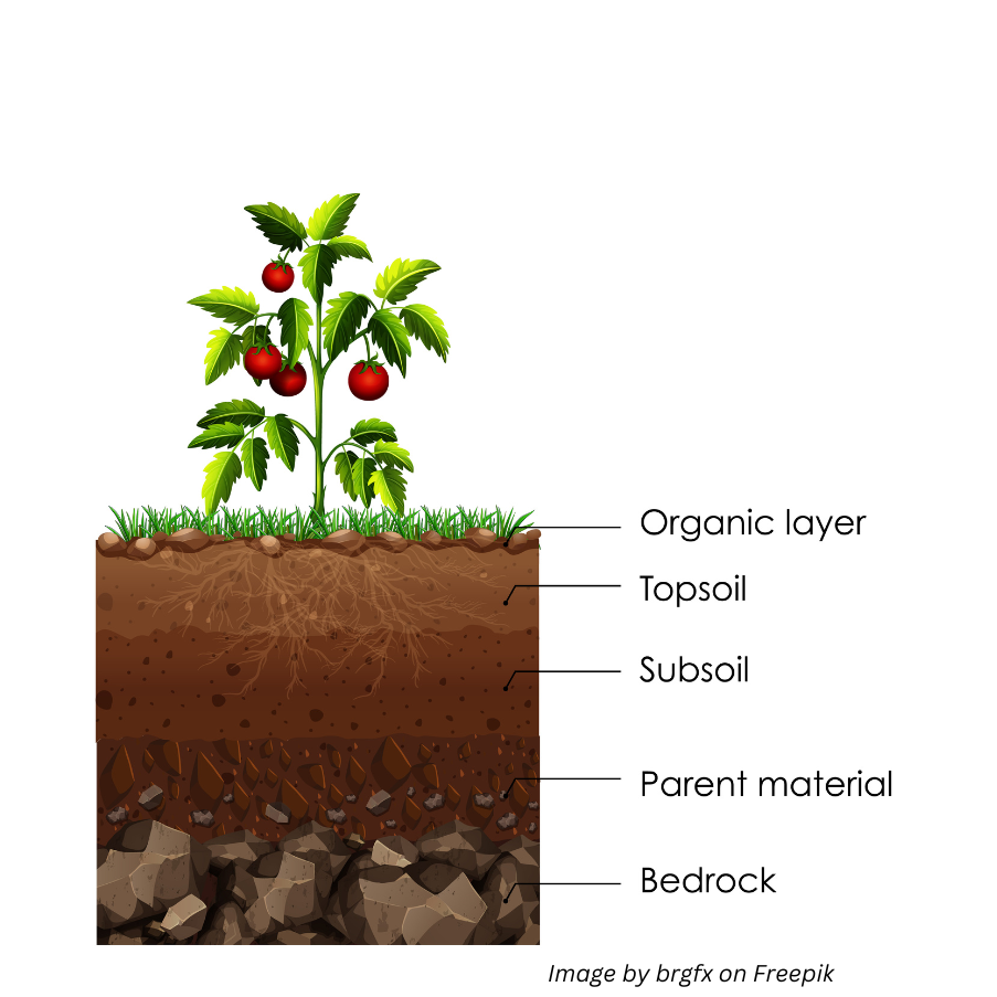 Soil layers