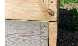 maintaining a raised bed