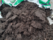 peat-free compost