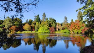 Sheffield Park