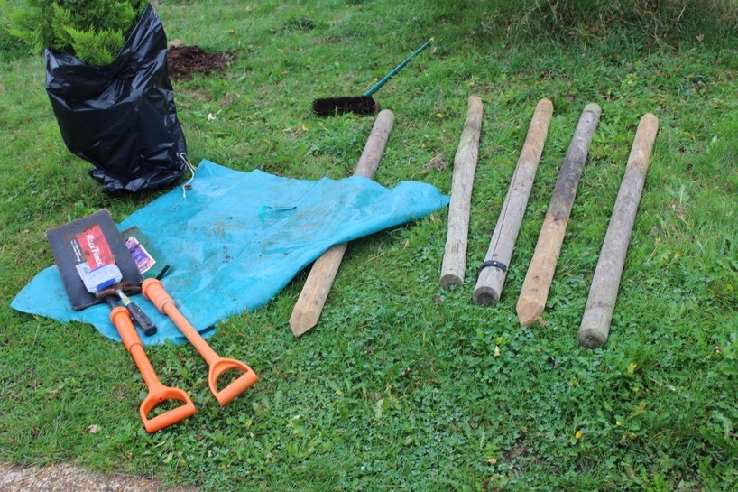 tree planting